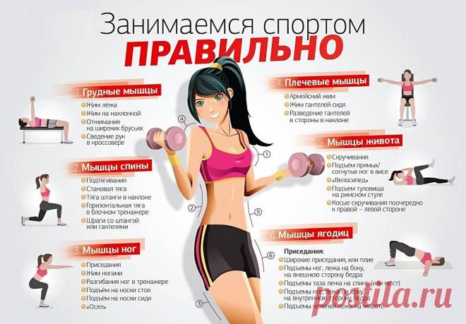 советы фитнесом дома: 1 тыс изображений найдено в Яндекс Картинках