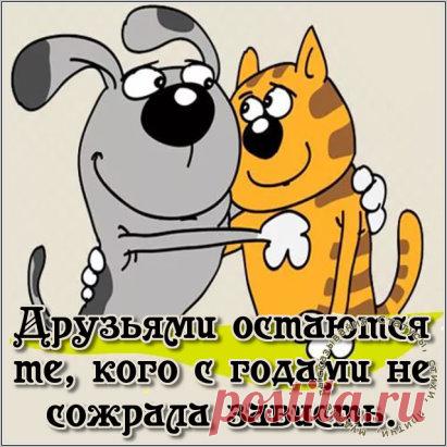 С годами круг друзей становится всё уже. Но те, кто остаются, уже не просто друзья, а родные люди.