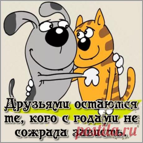 С годами круг друзей становится всё уже. Но те, кто остаются, уже не просто друзья, а родные люди.