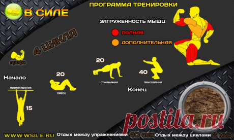 53 тренировочных программы для Начинающих, Продвинутых, Профессионалов и Мастеров от сайта WSILE.RU - WorkOut