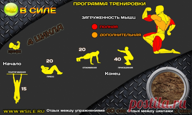 53 тренировочных программы для Начинающих, Продвинутых, Профессионалов и Мастеров от сайта WSILE.RU - WorkOut