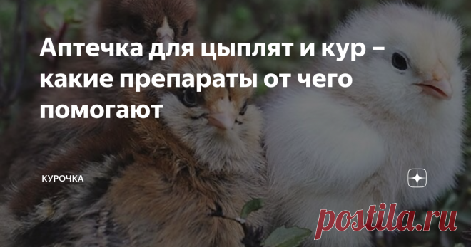 Аптечка для цыплят и кур – какие препараты от чего помогают Добрый день! Когда птицевод решает заниматься разведением кур, пусть даже в небольшом личном хозяйстве, у него обязательно должна быть собрана ветеринарная аптечка для цыплят и кур. Ведь жизнь и здоровье взрослого поголовья во многом зависит от того, насколько здоровыми будут расти малыши. Что должно быть в такой аптечке, от чего, возможно, придется лечить цыплят – об этом и многом другом будет рассказано ниже. Ле...