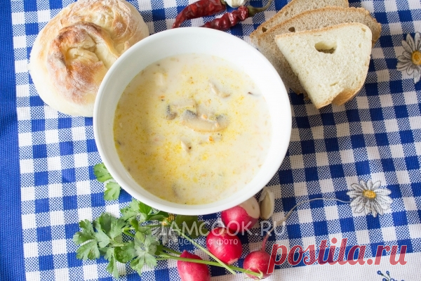 Сырный суп с шампиньонами — рецепт с фото пошагово. Как приготовить суп с шампиньонами, плавленным сыром и курицей?