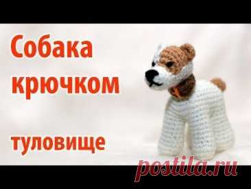 Авторская серия: мои первые собачьи эксперименты