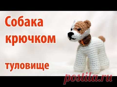 Авторская серия: мои первые собачьи эксперименты