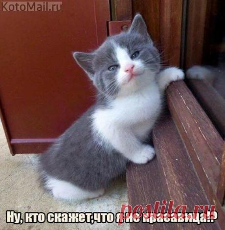 От улыбки стало всем светлей...