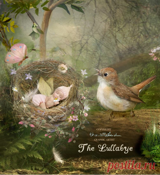 Charlotte Bird Fairy Photographer - Фото