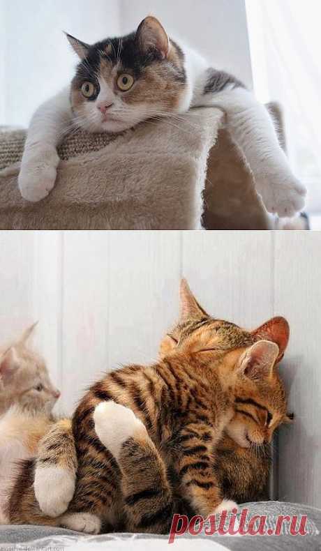 MikhaiL Liakhovskiy – Google+