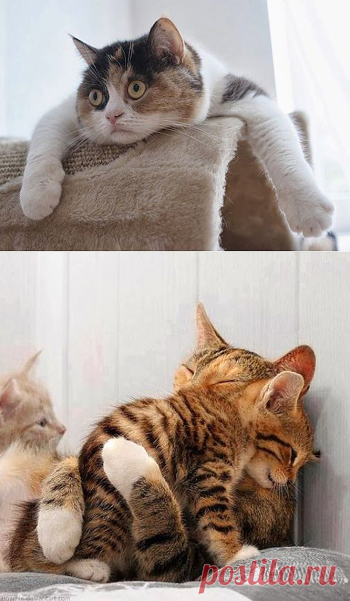 MikhaiL Liakhovskiy – Google+