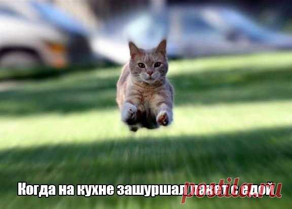 Интересные новости