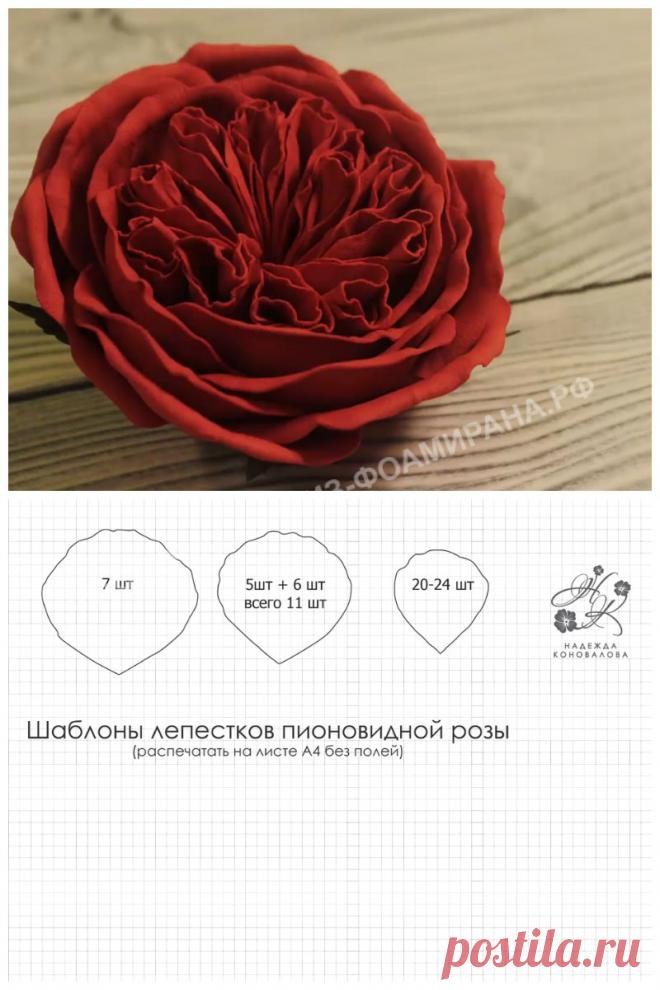 Выкройка розы из фоамирана (шаблоны цветка и лепестков)