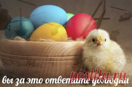 Нестандартный юмор - ЯПлакалъ