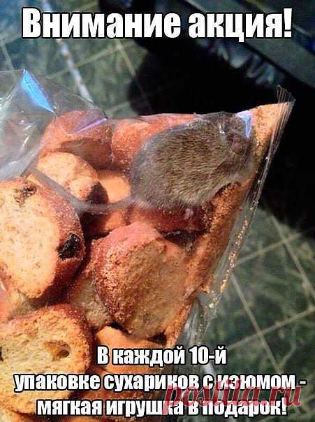 FISHKI.NET - Фотографии Хроники