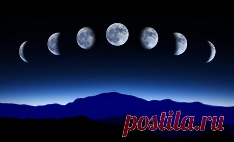 Лунный гороскоп стрижек 2016 год. Календарь стрижек на август, сентябрь, октябрь, ноябрь, декабрь, январь, февраль, март, апрель, май, июнь, июль