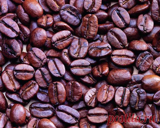 Фото А может кофе? / Coffee / Кофе. Альбом А может кофе? / Coffee - 174 фото. Фотографии Paolo Maldini.