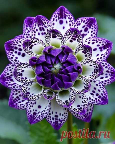 Pin page