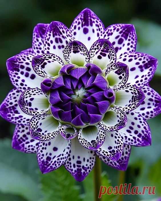 Pin page