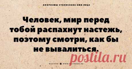 Обалденные афоризмы Станислава Ежи Леца, которые хочется цитировать