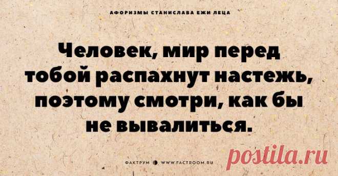 Обалденные афоризмы Станислава Ежи Леца, которые хочется цитировать