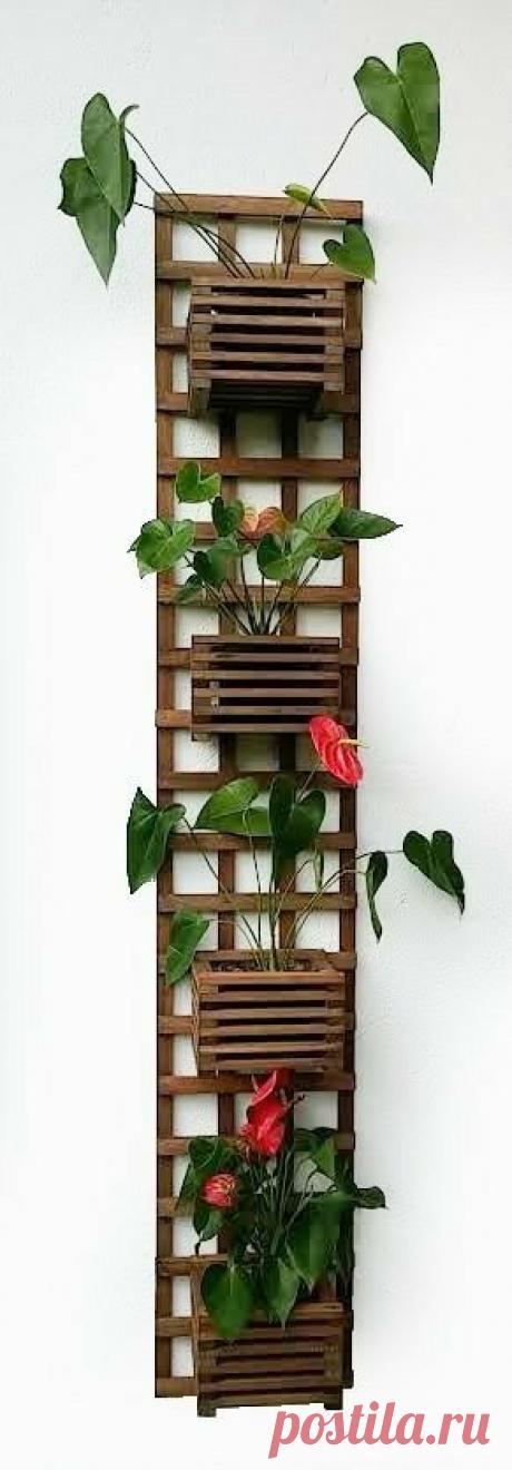 Дерев‘яний затишок