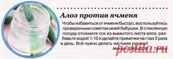 Алоэ против ячменя