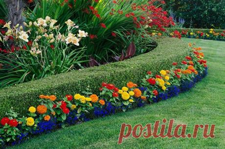 Многолетние цветы для дачи и сада: 95 фото с названиями, уход, выращивание Многолетние цветы для дачи и сада - большая подборка фото с названиями и видами. Советы по правильному уходу и выращиванию.