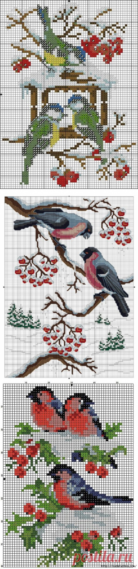 Подборка схем вышивки с птичками — DIYIdeas