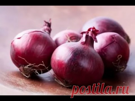 КАК ПОСАДИТЬ ЛУК НА РЕПКУ. НОВЫЙ МЕТОД