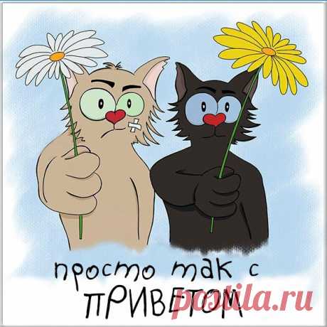 Просто так... С приветом!