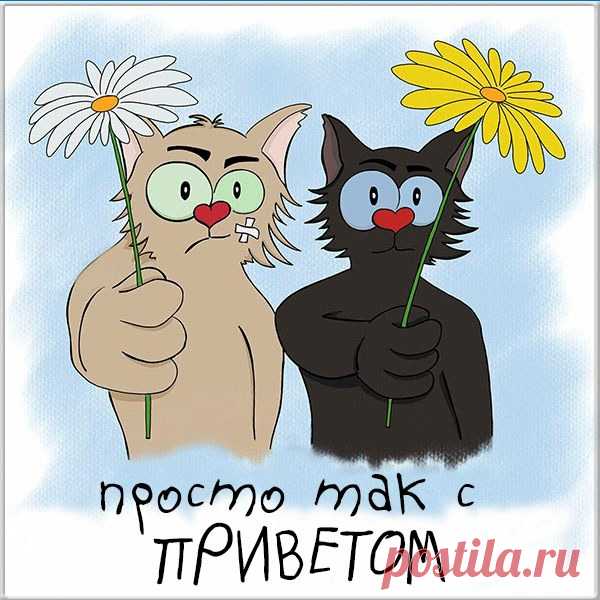 Просто так... С приветом!