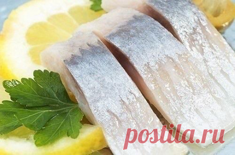 Маринады для сельди: 6 видов вкусных маринадов

Многие из нас покупают пресервы из селедки в маленьких пластиковых баночках: сельдь в майонезе, сельдь в горчичном соусе, сельдь в винной заливке и т.д..
Но такие же вкусные маринады для сельди можно сделать и дома.
Показать полностью...