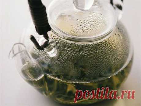 Лечение для гипертоника: Фитотерапия, прогулки перед сном, и никакой соли / Будьте здоровы