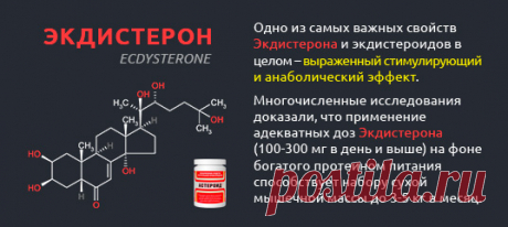 Экдистерон (лат. Ecdysterone, 20-Hydroxyecdysone, β-Ecdysone) — экдистероид, природное гормоноподобное вещество контролирующее в организме членистоногих линьку и метаморфозы. Структурная формула вещества похожа на стероидные гормоны человека (наличие стероидной цепи).