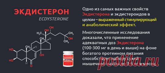 Экдистерон (лат. Ecdysterone, 20-Hydroxyecdysone, β-Ecdysone) — экдистероид, природное гормоноподобное вещество контролирующее в организме членистоногих линьку и метаморфозы. Структурная формула вещества похожа на стероидные гормоны человека (наличие стероидной цепи).