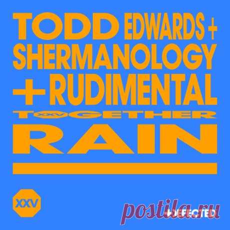 Todd Edwards, Shermanology, Rudimental – Rain – Extended Mix [DFTDXXV08D5]