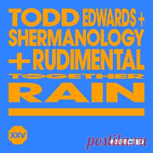 Todd Edwards, Shermanology, Rudimental - Rain - Extended Mix
https://specialfordjs.org/house/76137-todd-edwards-shermanology-rudimental-rain-extended-mix.html