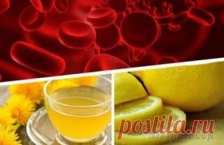 Какие продукты разжижают кровь Повышенная вязкость крови отрицательно сказывается на её транспортной функции, так как доставка питательных веществ и кислорода к органам и тканям замедляется, что вызывает множественные заболевания. ...