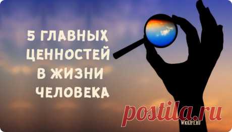 5 главных ценностей в жизни каждого человека
Содержание 1. Самобытность 2. Самораскрытие и духовный рост 3. Открытость Что нужно...
Читай дальше на сайте. Жми подробнее ➡