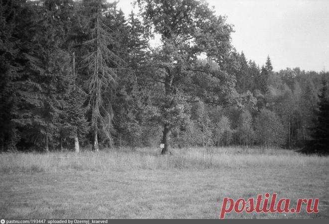 Памятник С. И. Солнцеву у Андреевского. Вид издали - Фотографии прошлого