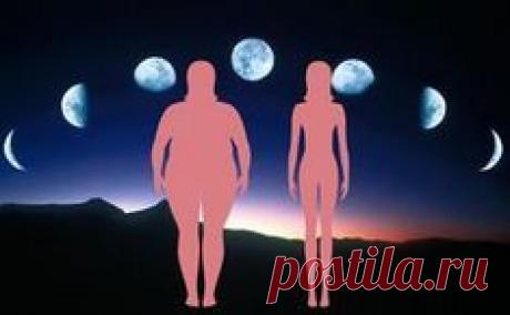 Лунная диета — самый легкий и действенный способ держать свой аппетит в узде