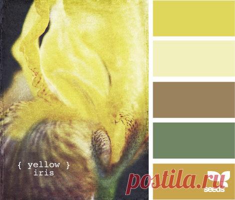 Цветы, деревья — источник вдохновения! | BepHuK собирает друзей