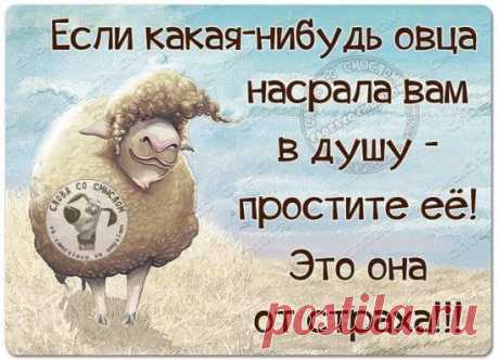 (210) Pinterest