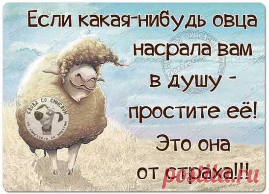 (210) Pinterest