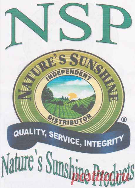 Логотип компании NSP,  девиз: Качество, сервис, честность.