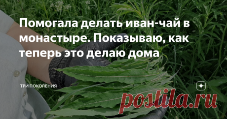 Помогала делать иван-чай в монастыре. Показываю, как теперь это делаю дома Записки пенсионерки...
В этом году получается гораздо лучше и вкуснее, а главное - проще.