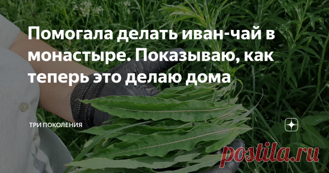 Помогала делать иван-чай в монастыре. Показываю, как теперь это делаю дома Записки пенсионерки...
В этом году получается гораздо лучше и вкуснее, а главное - проще.