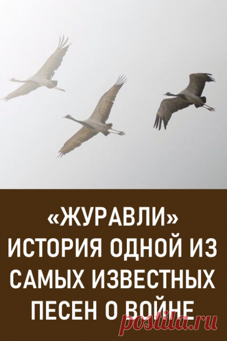 «Журавли» — история одной из самых известных песен о войне. Эта песня стала последней в жизни Марка Бернеса.