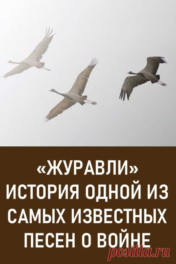 «Журавли» — история одной из самых известных песен о войне. Эта песня стала последней в жизни Марка Бернеса.