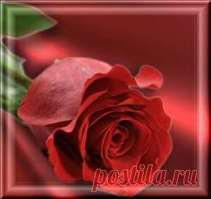 Письмо «сообщение Темы_и_схемы : Схема Иванны. Роза красная (17:11 25-06-2014) [1642792/328894807]» — Темы_и_схемы — Яндекс.Почта