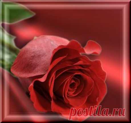 Письмо «сообщение Темы_и_схемы : Схема Иванны. Роза красная (17:11 25-06-2014) [1642792/328894807]» — Темы_и_схемы — Яндекс.Почта